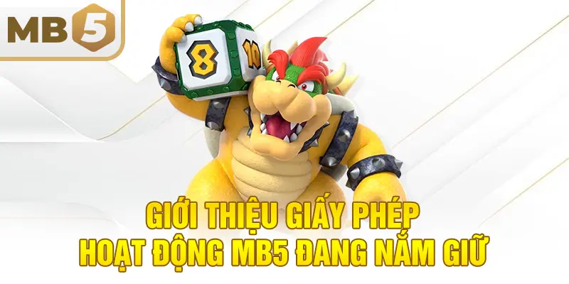 Giới thiệu giấy phép hoạt động MB5 đang nắm giữ