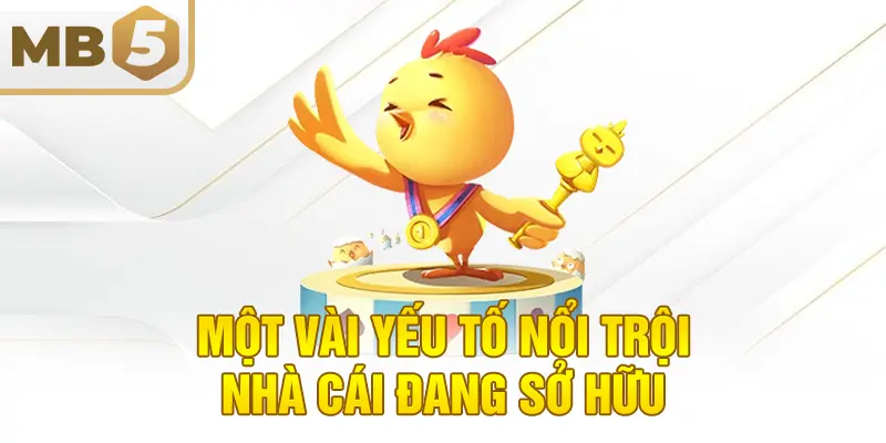 Một vài yếu tố nổi trội nhà cái đang sở hữu