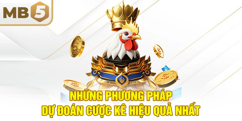 Những phương pháp dự đoán cược kê hiệu quả nhất