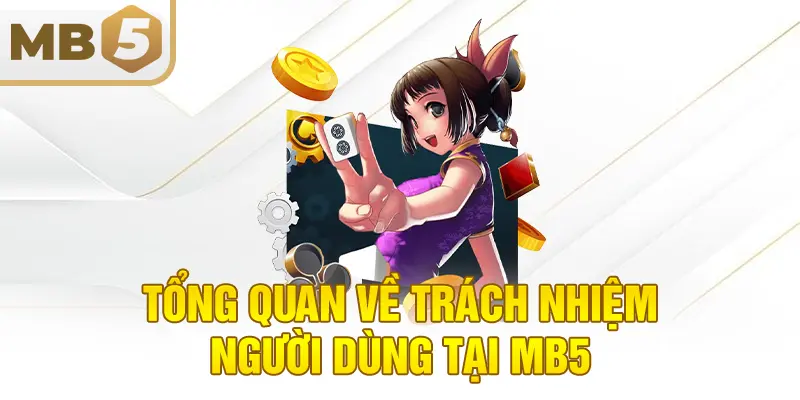 Tổng quan về trách nhiệm người dùng tại MB5
